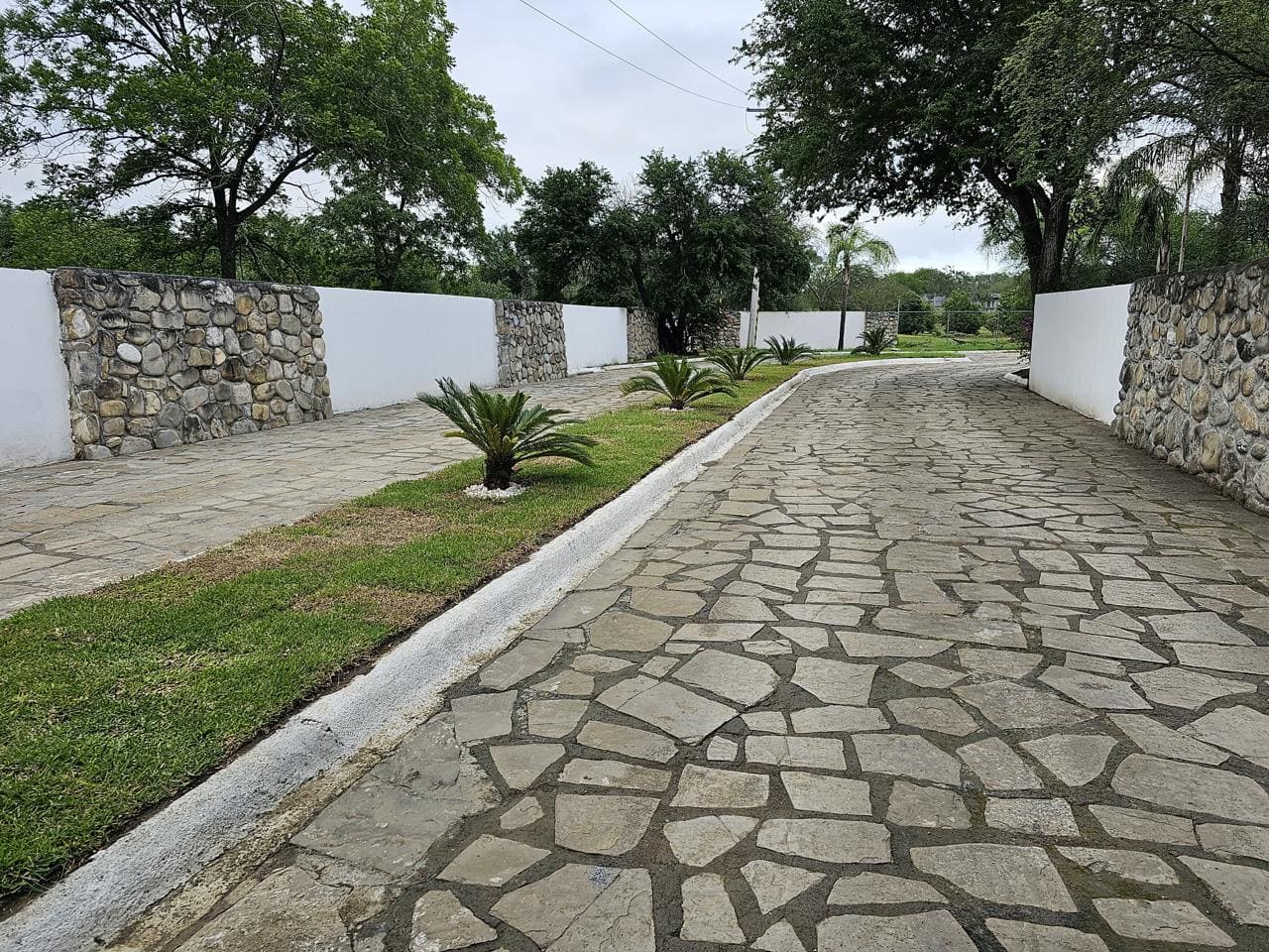 Proyecto Bugambilias 1